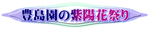 豊島園の紫陽花祭り